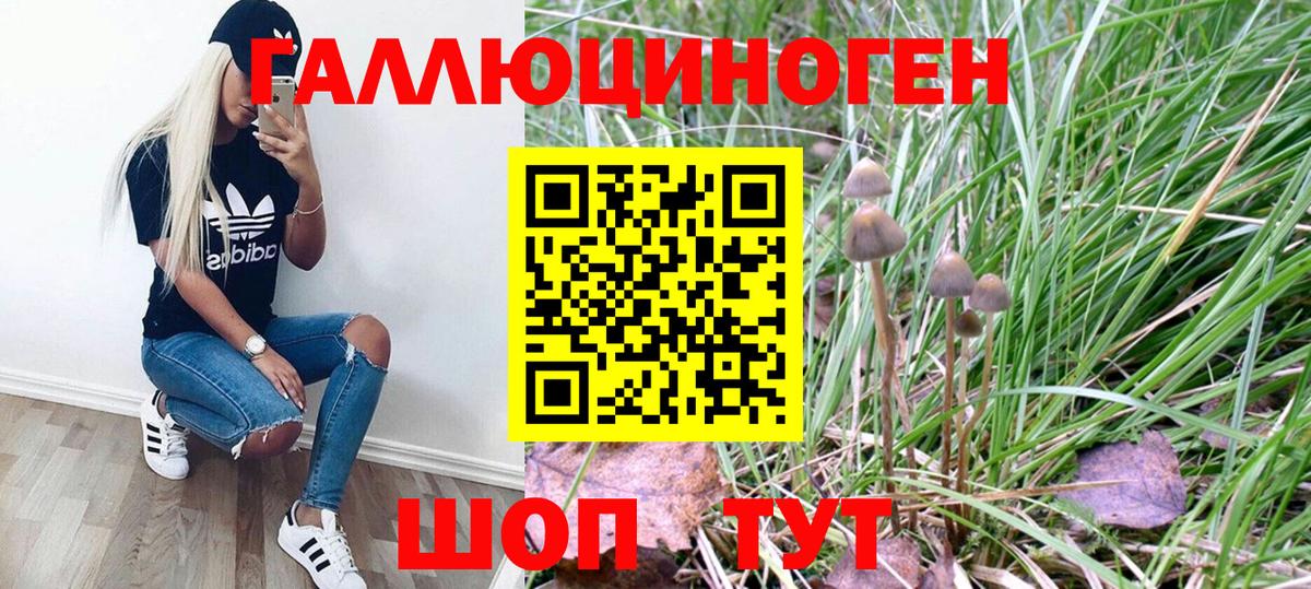 Псилоцибиновые грибы GOLDEN TEACHER Саянск